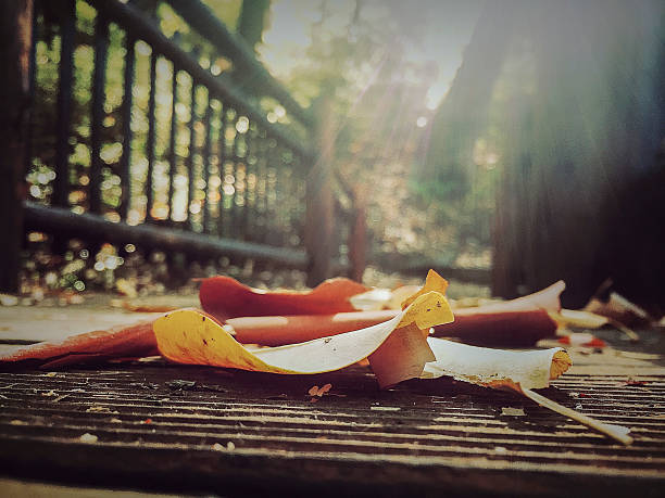 Leaves on Walking Meditation Bridge stock photo