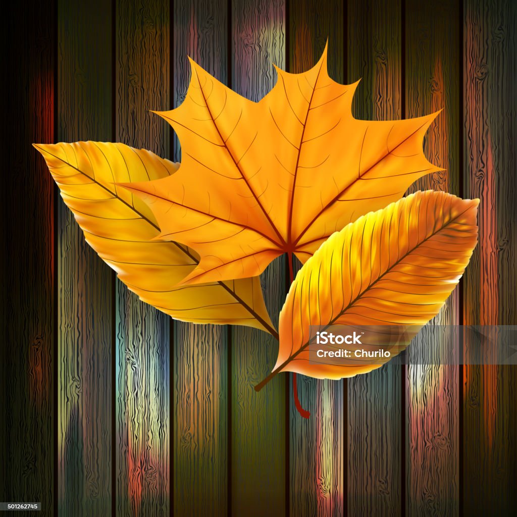 秋の葉と木製の背景の上に EPS 10 を - イラストレーションのロイヤリティフリーベクトルアート