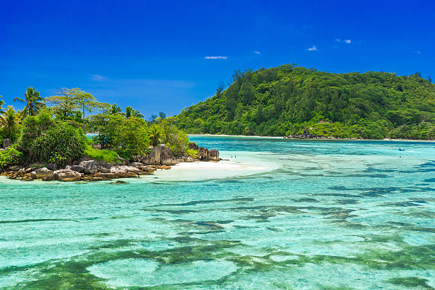 istock Anse I'Islette on Mahe in Seychelles 501263028