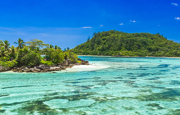 istock Anse I'Islette on Mahe in Seychelles 501263222