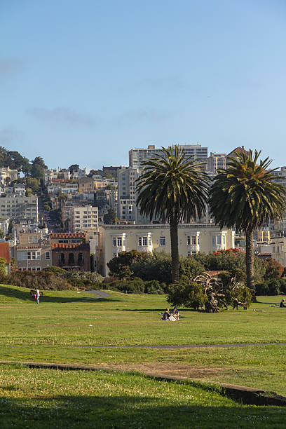 istock Green park in San Francisco with downtown at background 501263538