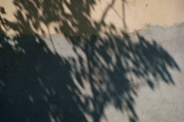 istock Structure of an old plaster from the shadows 501263729