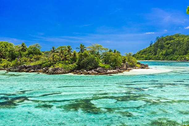 istock Anse I'Islette on Mahe in Seychelles 501263812