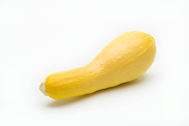 zucchino giallo - crookneck squash foto e immagini stock