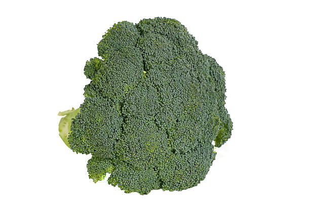 broccoli head of broccoli isolated on a white background broccoli crowns stock pictures, royalty-free photos & images