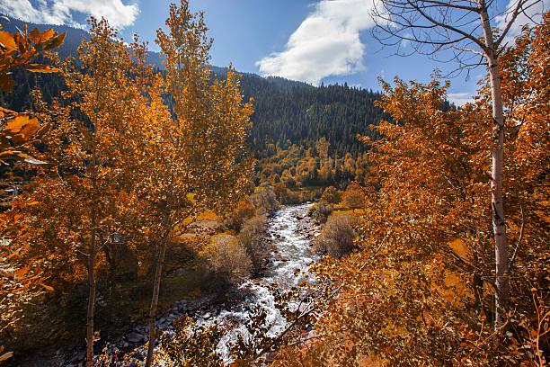 пейзаж в осенний - day autumn beauty in nature belluno стоковые фото и изображения