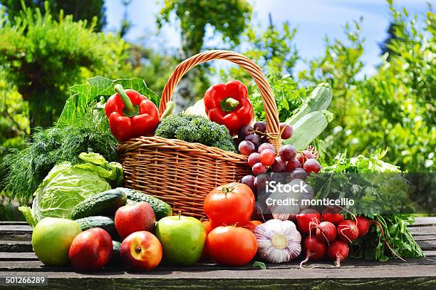 Fresh Organic Vegetables In Wicker Basket In The Garden Stock Photo - Download Image Now