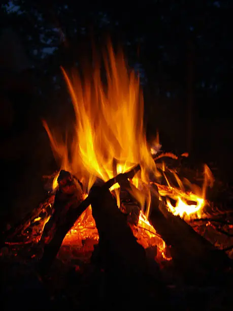 bright fire of wood burning in nature.