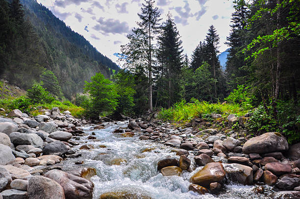 istock rivers of paradise 501275031