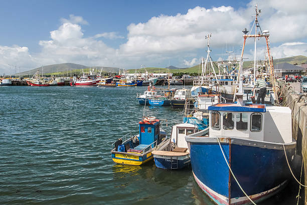 Fishing boats in the port Dingle, Ireland - July 27, 2009: Fishing harbor of Dingle. The small town of Dingle with its colorful fishing harbor is one of the touristic highlights on the Kerry peninsula. dingle peninsula stock pictures, royalty-free photos & images