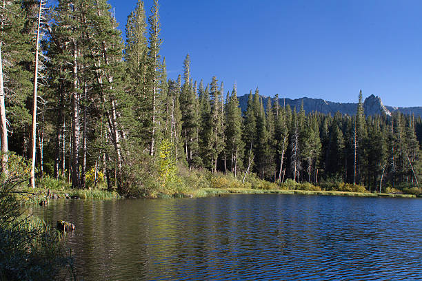 istock Twin Lake Near Mammoth 501275253