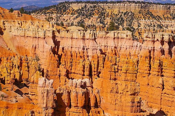 parque nacional bryce canyon, utah, eua. - canyon plateau large majestic fotografías e imágenes de stock