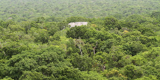 istock The Pyramid at Calakmul, Mexico 501276175