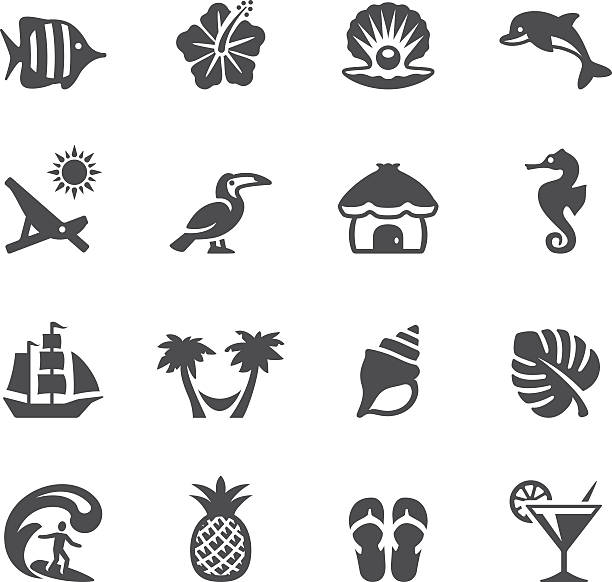 Soulico icons - Tropical Vacations Soulico collection - Tropical Vacations icons. toucan white background stock illustrations