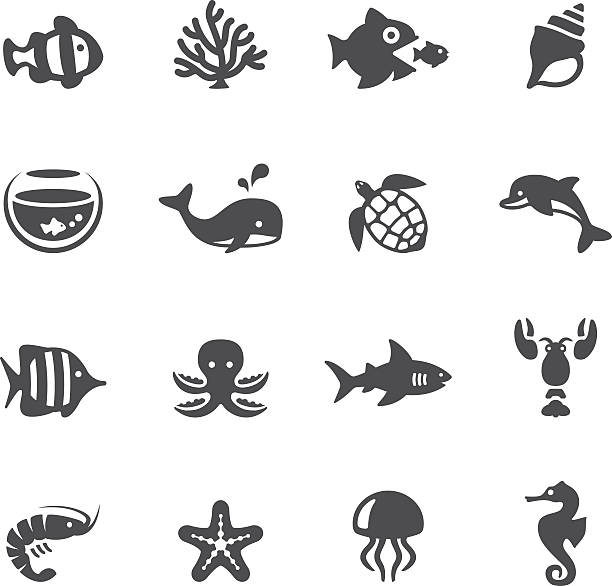 soulico icons-meer-leben - jellyfish sea life cnidarian sea stock-grafiken, -clipart, -cartoons und -symbole