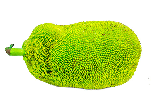 A green jackfruit with white background.