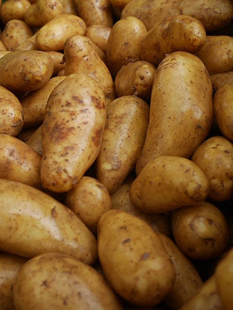 istock market organic potatoes 501277873