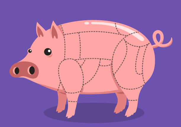 schweinefleisch steaks schwein schnitt - pork chop illustrations stock-grafiken, -clipart, -cartoons und -symbole