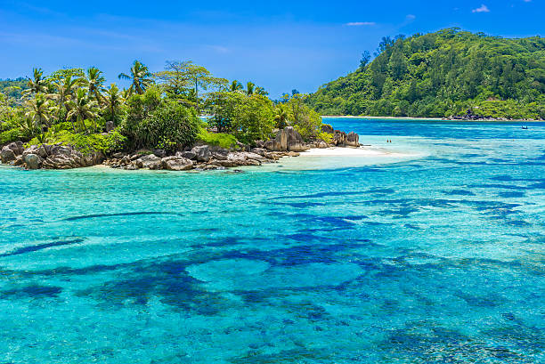 istock Anse I'Islette on Mahe in Seychelles 501282608