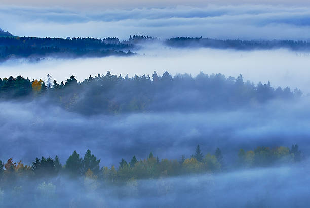 istock Foggy morning in the landscape 501282648