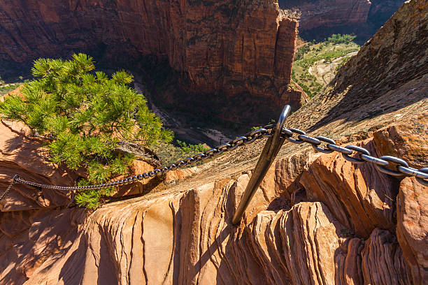 gefährliche trail in zion national park, angel's landing - landen stock-fotos und bilder