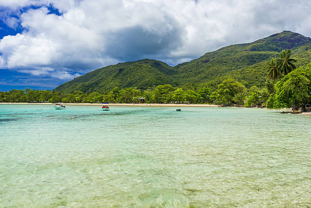 istock Anse I'Islette on Mahe in Seychelles 501283392