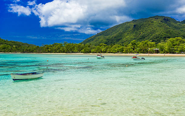 istock Anse I'Islette on Mahe in Seychelles 501284848