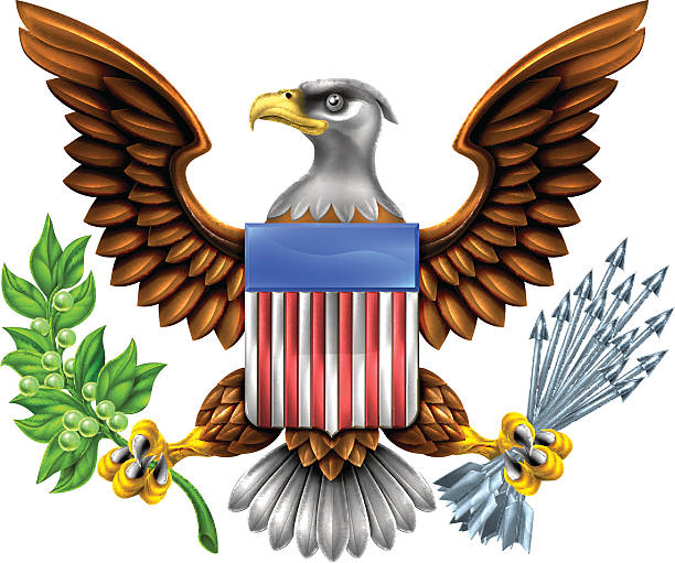 amerykańskiej tarczy orzeł design - eagle american culture great seal usa stock illustrations