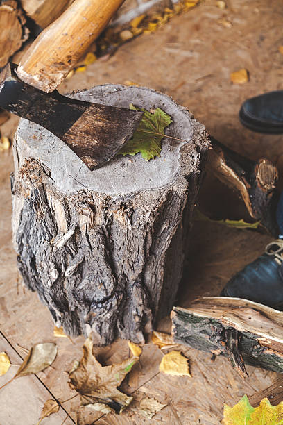 Axe stand on stump, log lying next Axe stand on the stump, a log is chipped close axe stump stock pictures, royalty-free photos & images