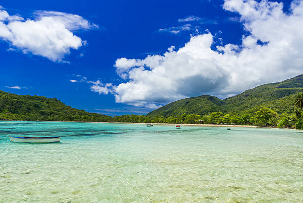 istock Anse I'Islette on Mahe in Seychelles 501286066