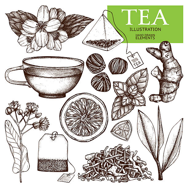 Decorative inking vintage tea sketch. Vector collection of hand drawn tea illustration. teabag stock illustrations