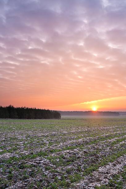 istock Plowed autumnal field landscape 501290848
