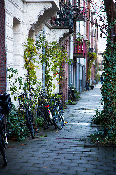 istock Romantic street in Amsterdam 501291120