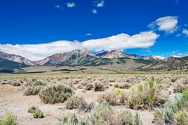 istock Eastern Slope Sierra Nevada 501291669