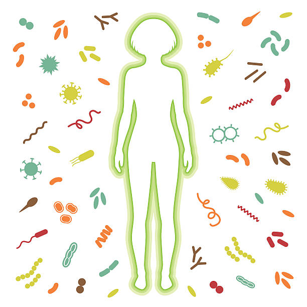 immune system ochrony - human immune system bacterium flu virus illness stock illustrations