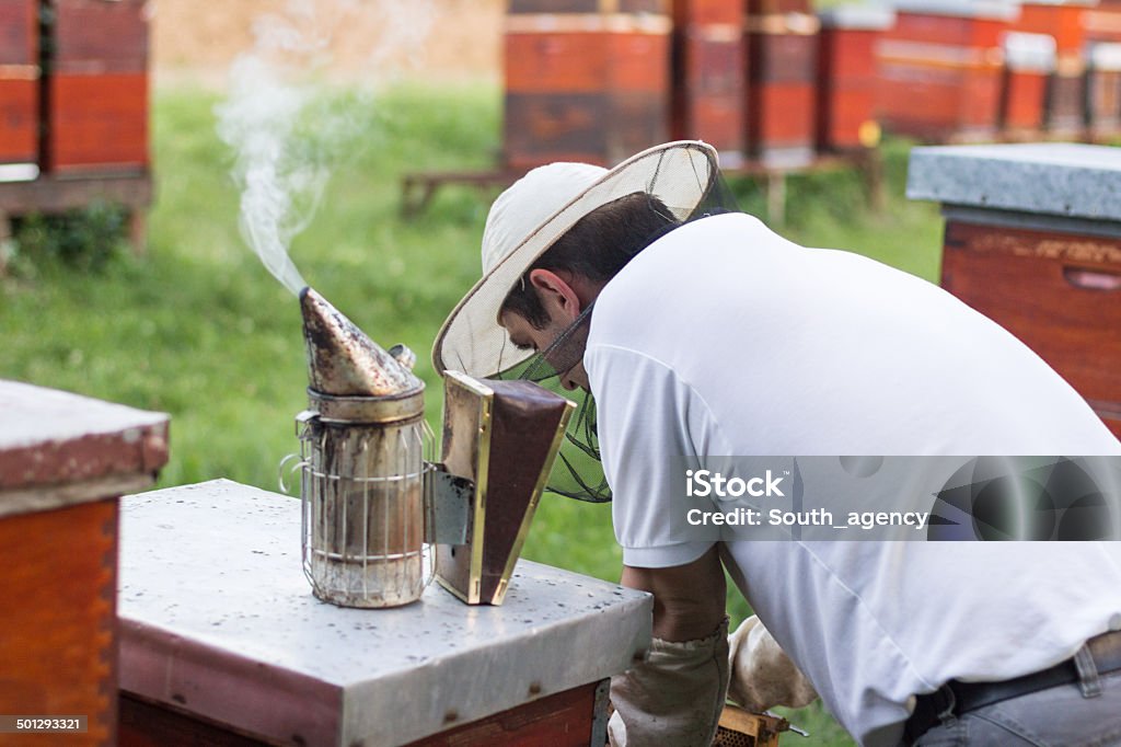Imker Arbeiten auf seinem apiary - Lizenzfrei Berufliche Beschäftigung Stock-Foto