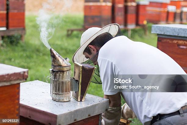 Pszczelarz Pracuje W Jego Apiary - zdjęcia stockowe i więcej obrazów Dorosły - Dorosły, Fotografika, Hobby