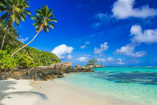 istock Beautiful beach - Anse aux Pins - Mahe, Seychelles 501293326
