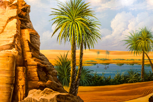 Desert oasis and palm trees on a picture