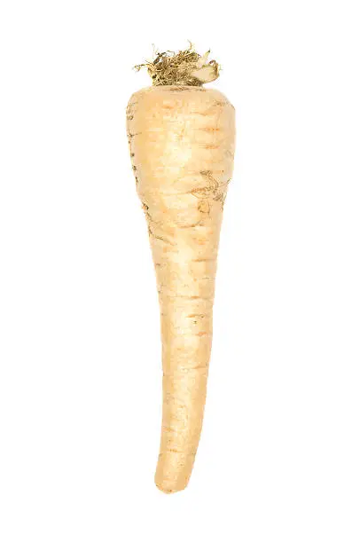 Fresh parsnips isolated on a white background