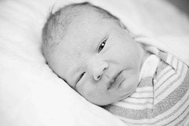 istock Swaddled Newborn Boy 501293915