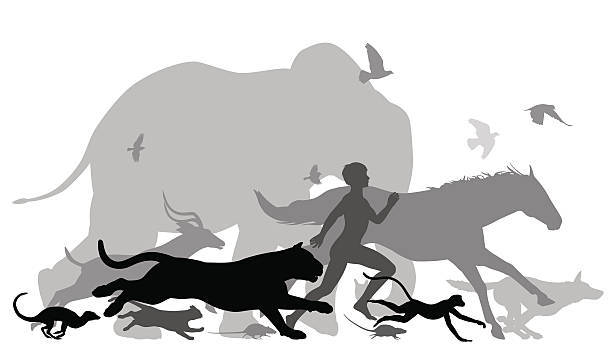 Running with animals Editable vector silhouettes of a man running together with various animals stampeding stock illustrations