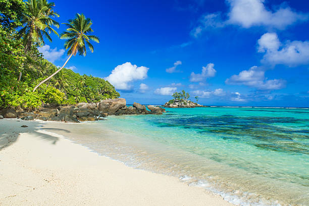 istock Beautiful beach - Anse aux Pins - Mahe, Seychelles 501294378