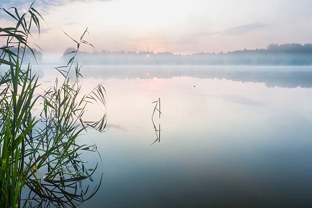 istock Morning foggy lake 501294520