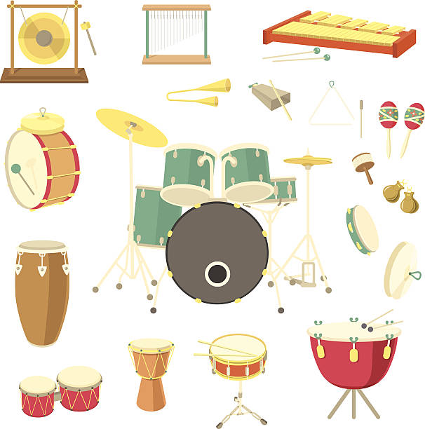 Percussion Musical Instruments Set of various percussion musical instruments in the flat style cartoon of a african bongo drums stock illustrations
