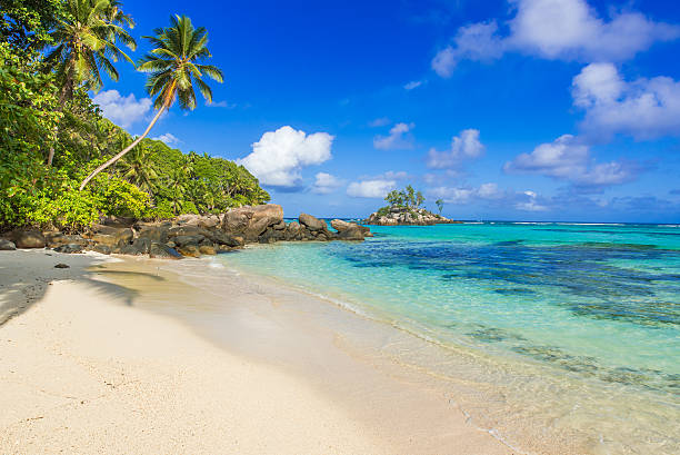 istock Beautiful beach - Anse aux Pins - Mahe, Seychelles 501294862