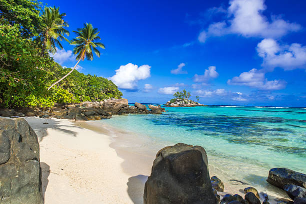istock Beautiful beach - Anse aux Pins - Mahe, Seychelles 501295048