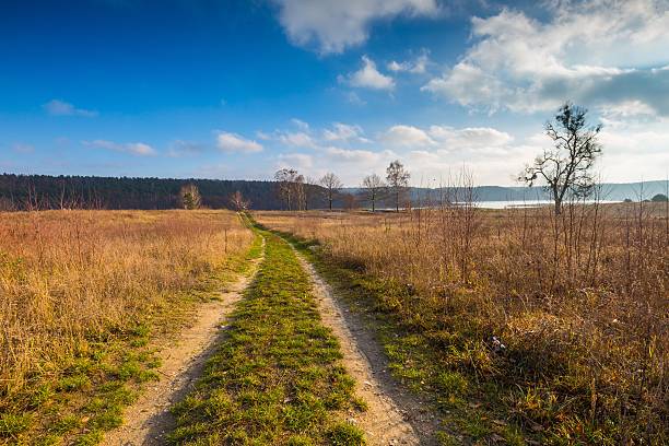 istock Landscape of fields at late autumn or winter 501295354