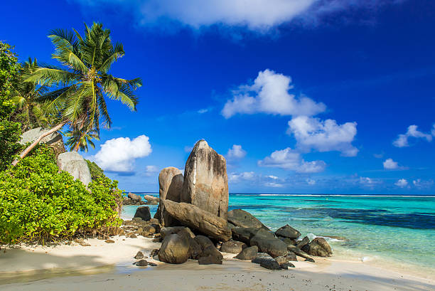 istock Beautiful beach - Anse aux Pins - Mahe, Seychelles 501295498