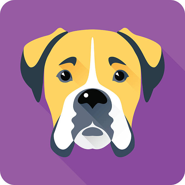 illustrazioni stock, clip art, cartoni animati e icone di tendenza di icona di design piatto cane boxer - brindled